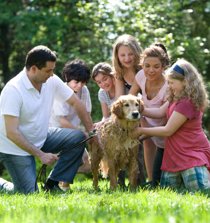 family with pet dog playing outside lawn grass shelton ct