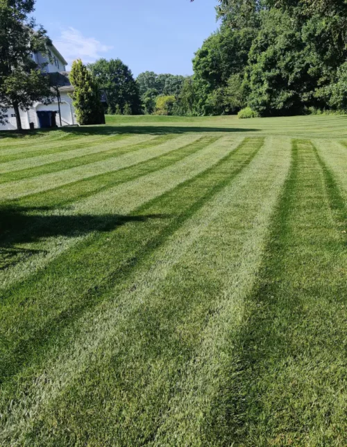 land after lawn mowing shelton ct