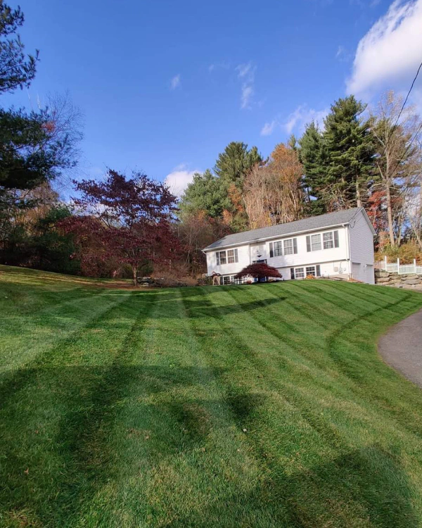 newly mowed lawn in front of a house shelton ct